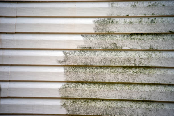 Reliable Santa Clara, OR Siding Services Solutions